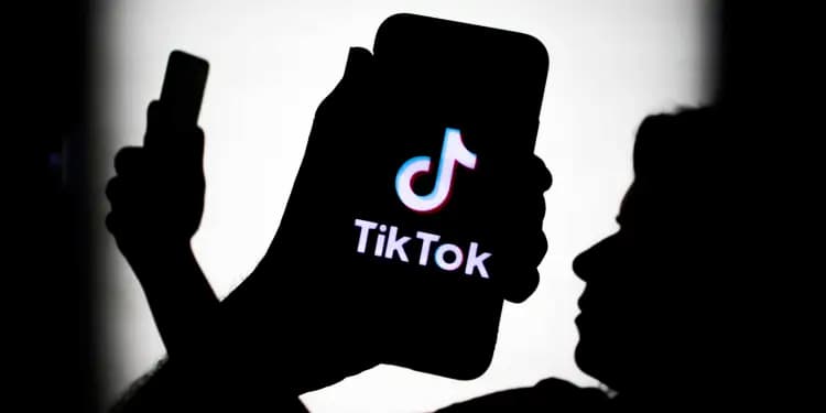 Can You See Who Liked Your TikTok If So, How To See 
