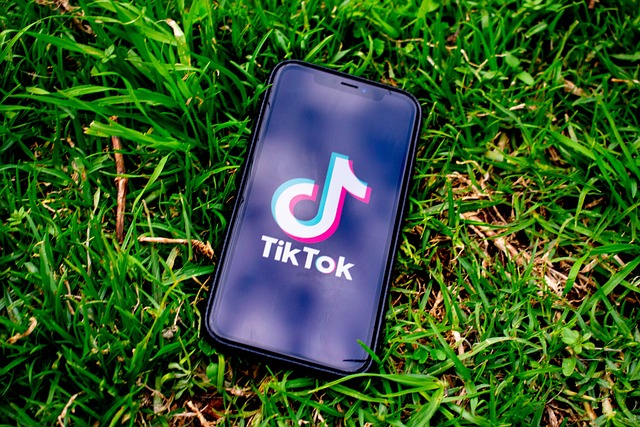 How To Pin A Tiktok Video To Your Profile Page An Easy Step-by-step Guide